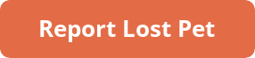 button_report-lost-pet