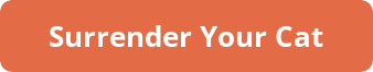 button_surrender-your-cat
