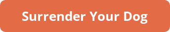 button_surrender-your-dog