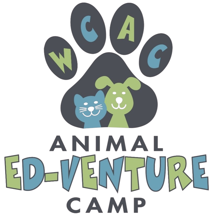 Camp Logo - no background